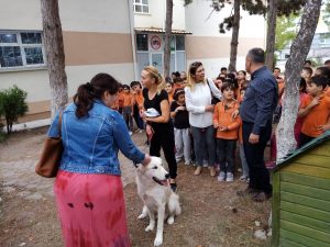 Sokak köpeği artık minik öğrencilere emanet