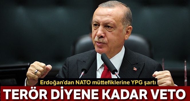 Terör demezseniz biz de veto ederiz