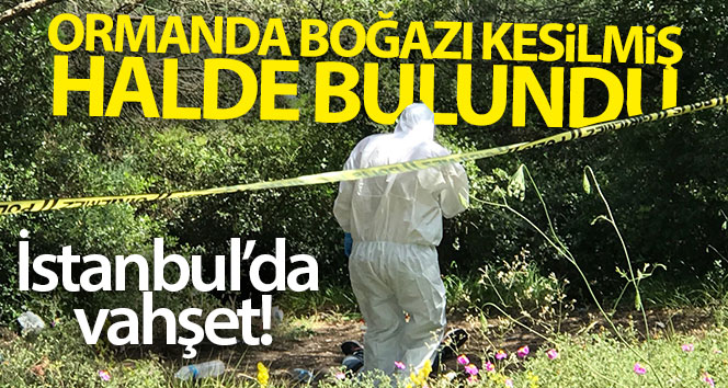 Sultangazi Kent Ormanı’nda feci olay