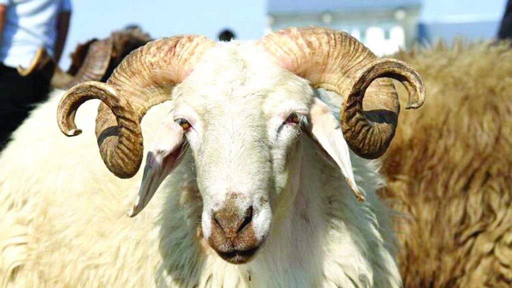 İYİ BAYRAMLAR ESKİŞEHİR