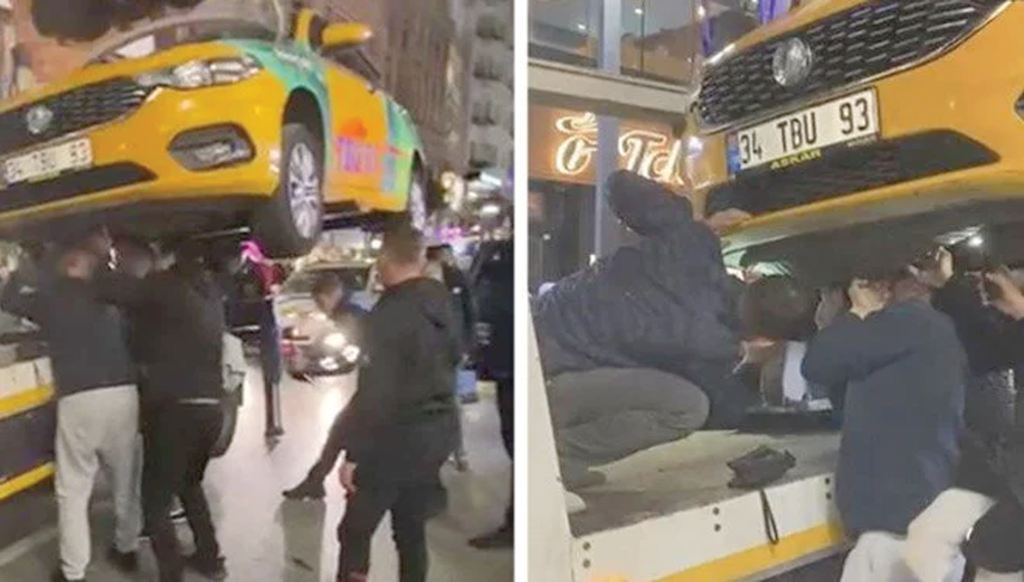 İstanbul’daki ilginç kedi kurtarma operasyonu