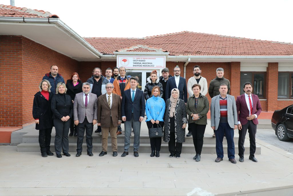Eskişehir’de geliştirilen aspir çeşitleri çiftçi ile buluşacak