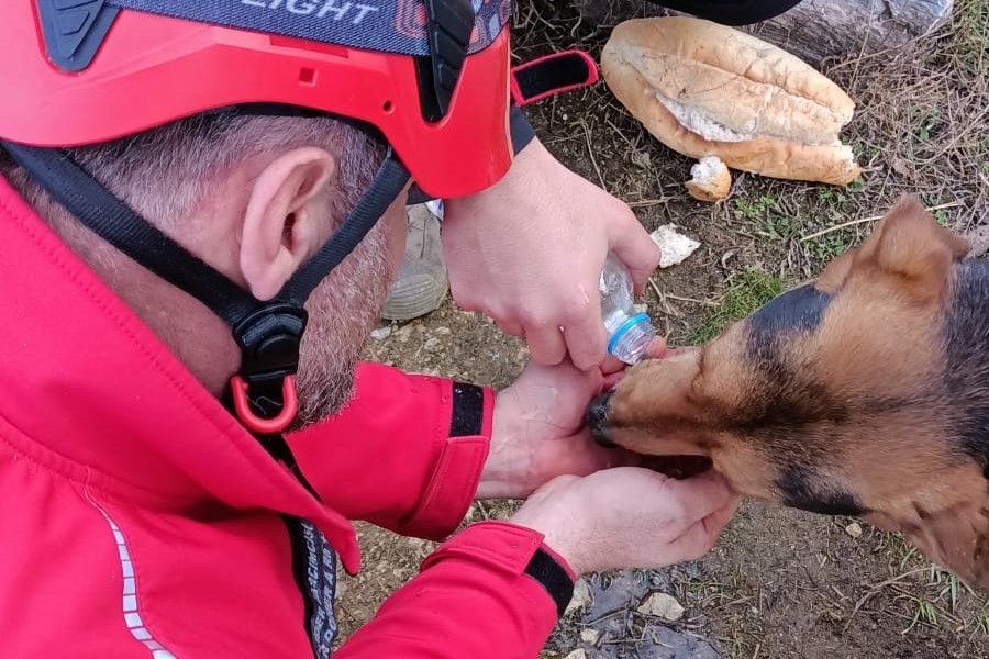 İki köpek bir haftadır dağda mahsur kaldı