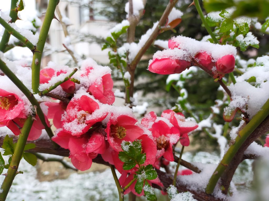 Eskişehir’e kar yağışı kartpostallık görüntüler oluşturdu