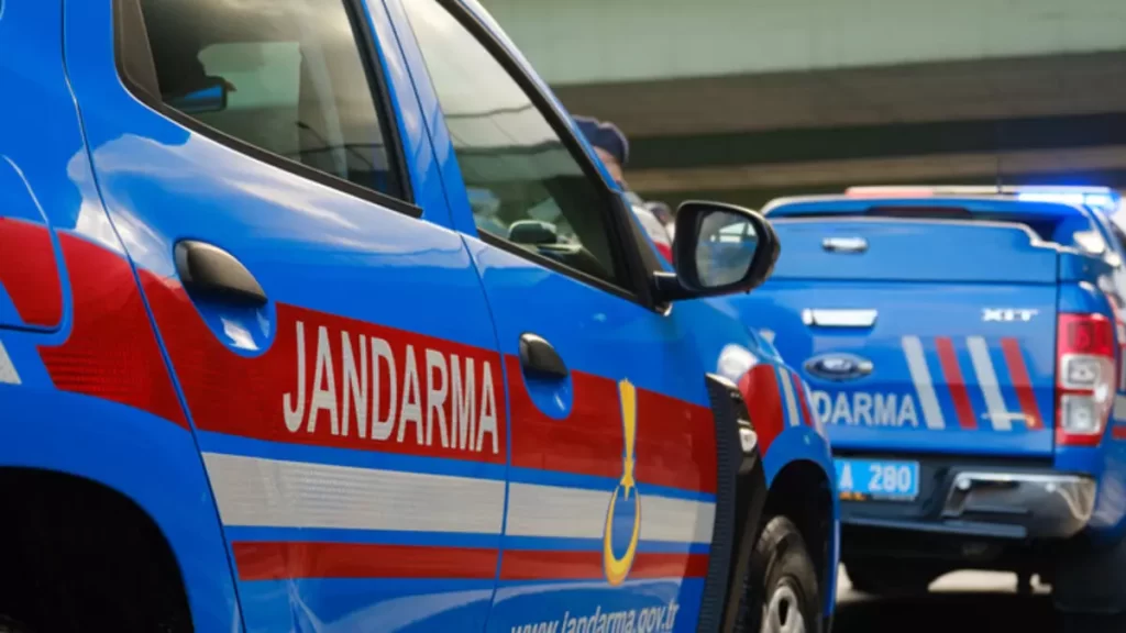 Yaban hayvan saldırısıyla kaçan hayvanlar sahibine teslim edildi