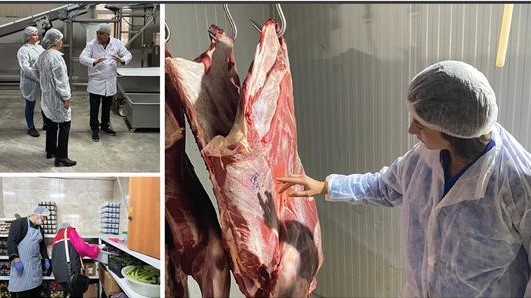 Gıda denetimlerinde 17,4 milyon TL ceza uygulandı