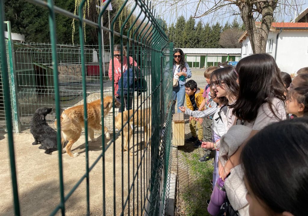 Öğrenciler barınaktaki canlara mama bağışladı
