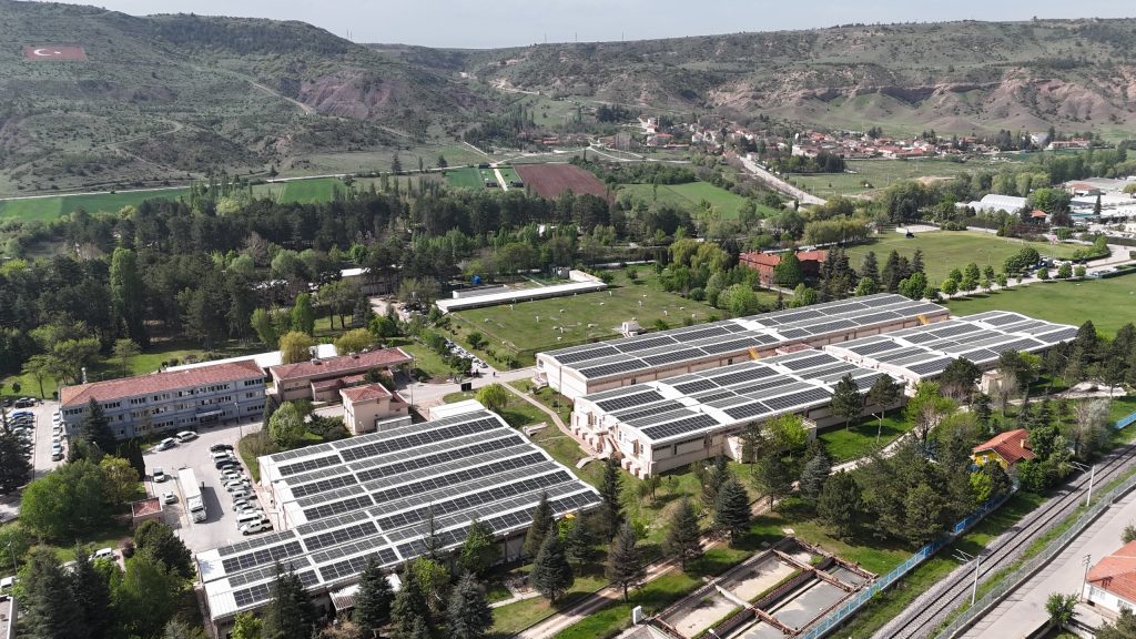 Gelecek, doğaya saygı duyan şehirlerin olacak