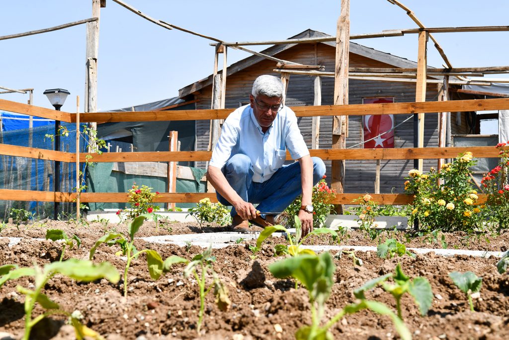 Gönüllü bahçelerin sakinleri kendi sebze meyvesini üretmenin keyfini yaşıyor