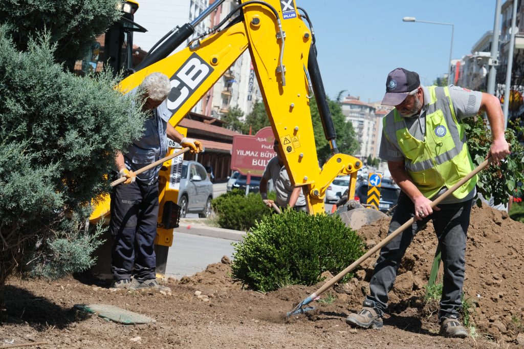 Kuru peyzaj ile tasarruf sağlanıyor