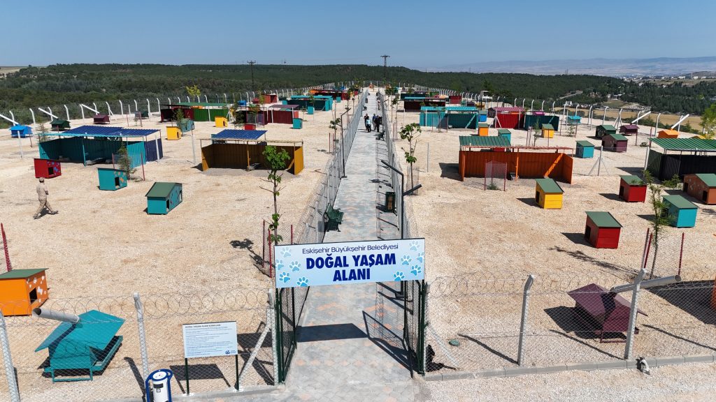 “Şefkatle yaptık, sevgiyle yaşatacağız”