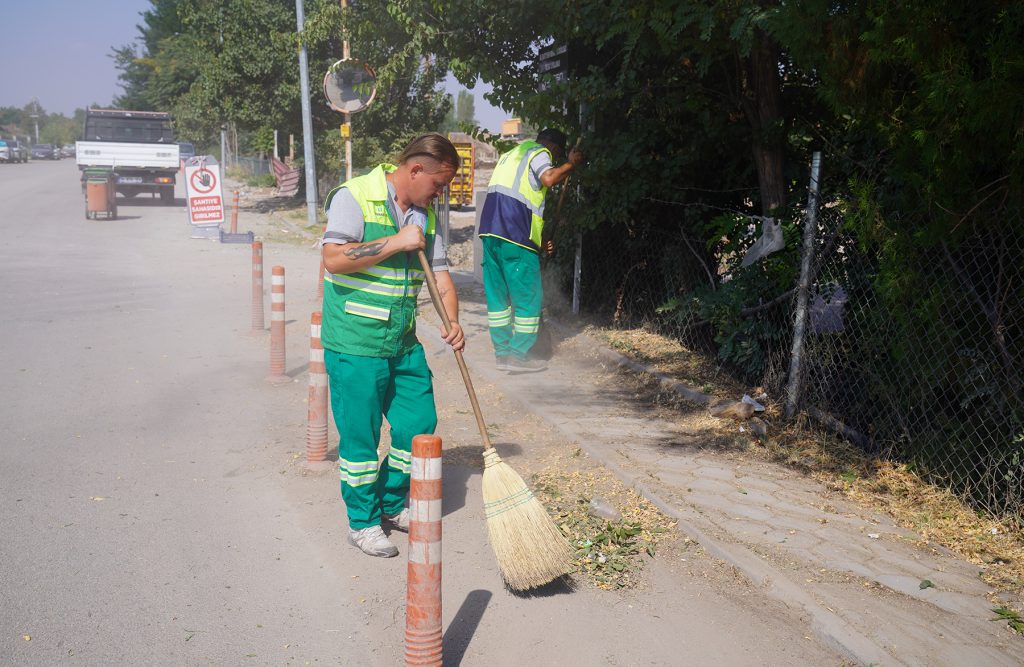 Yabani otlar temizleniyor