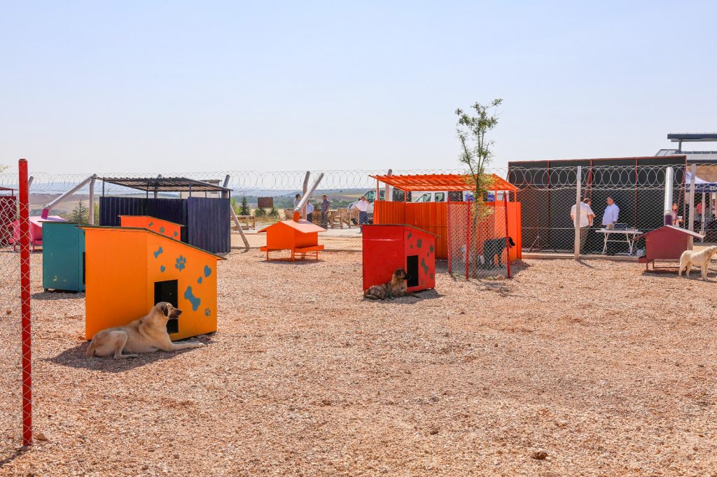 Hayvan Bakımevi için destek kampanyası başladı