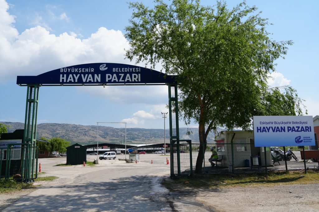Büyükşehir Belediyesi Hayvan Pazarı yeniden faaliyete geçti