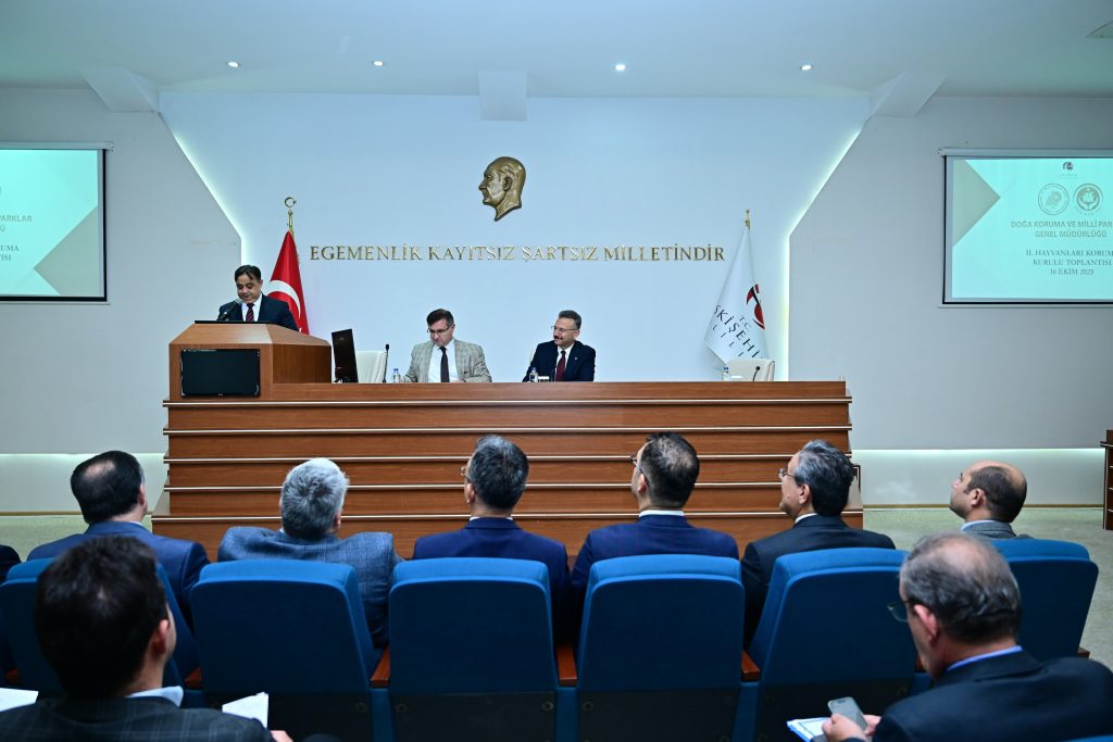 Sahipsiz hayvan toplama istasyonları kurulacak
