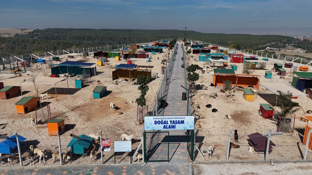 Hayvan Bakımevi ve Doğal Yaşam Alanı’nda sona yaklaşıldı