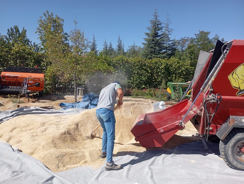 Küçükbaş hayvan destekleri sürüyor