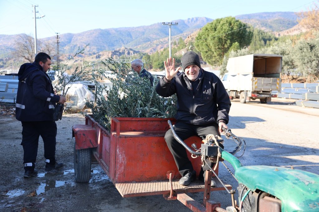 Mavi sertifikalı zeytin fidanları çiftçilere dağıtıldı
