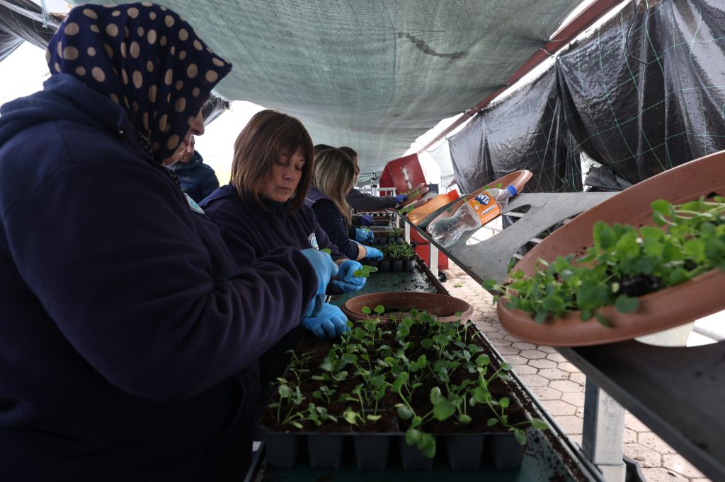 Binlerce çiçek şehri süsleyecek