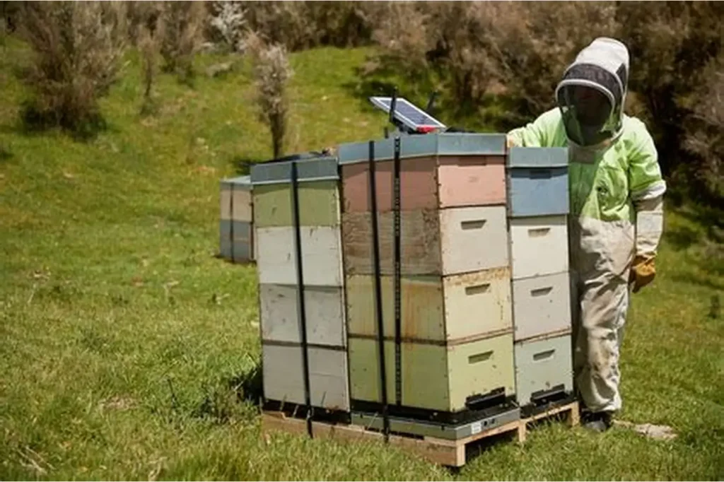 Arıcılıkta modern teknikler üreticilerle buluşacak