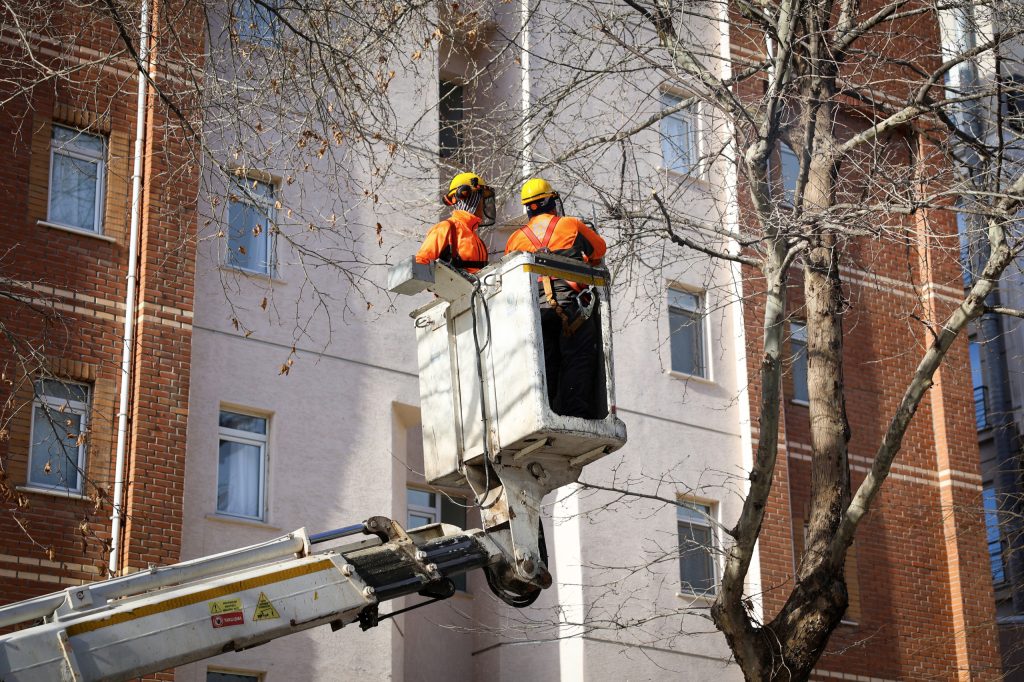 Ağaçlar bir bir budanıyor