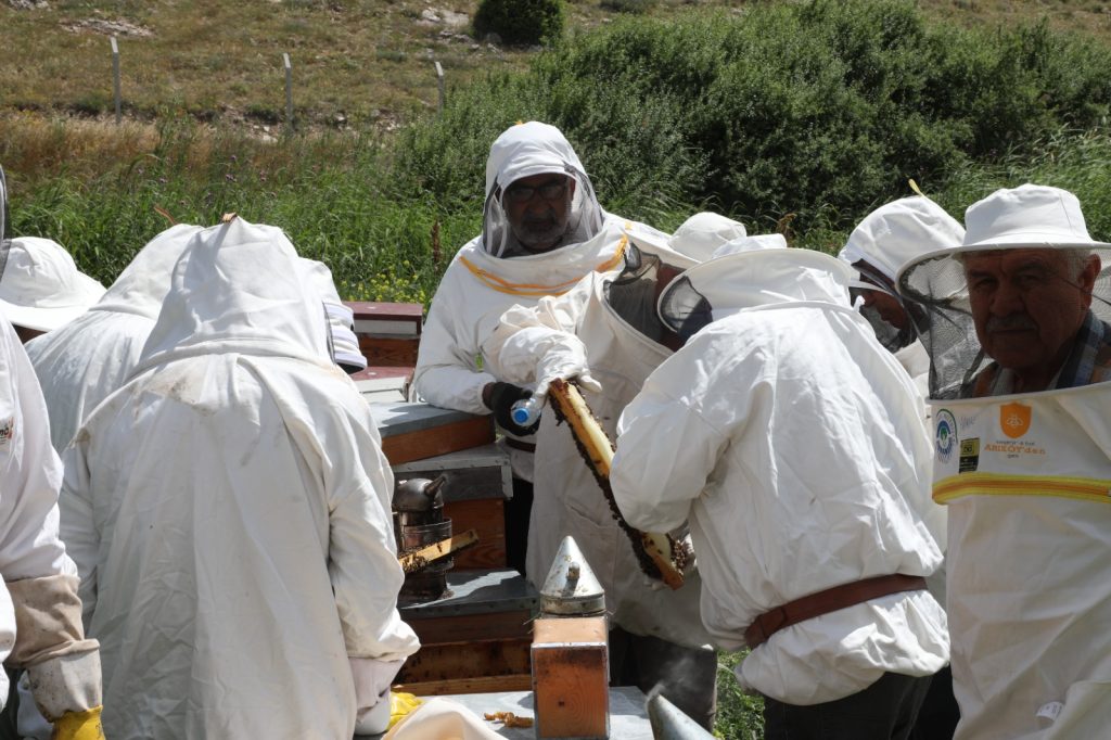 Arıköy kayıtları 23 Şubat’ta başlıyor