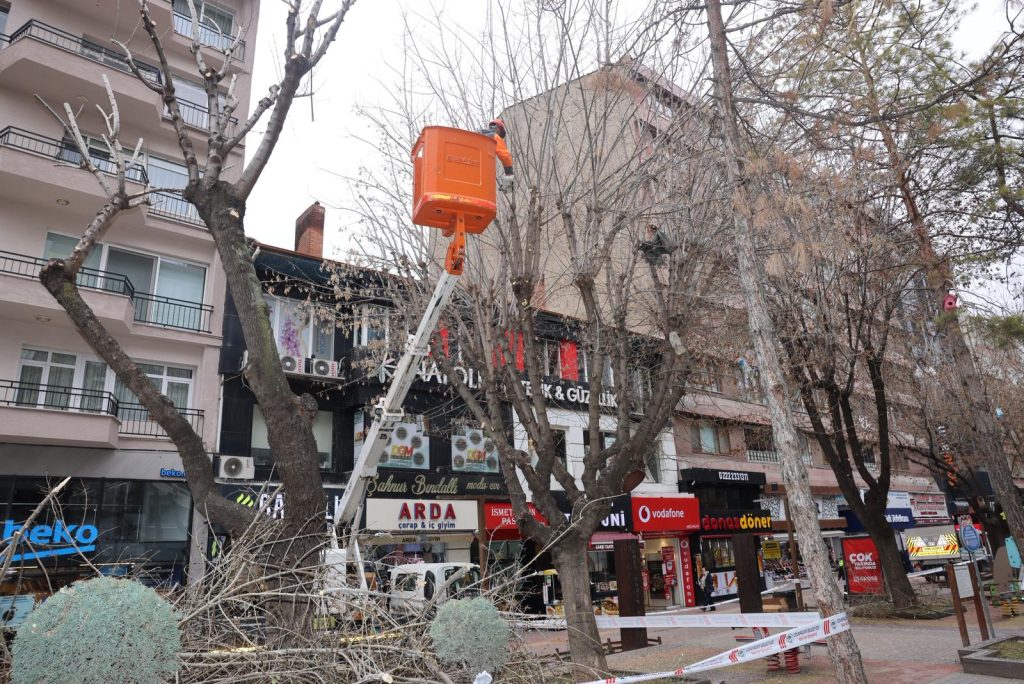 Odunpazarı’ndan Hamamyolu’nda budama çalışması
