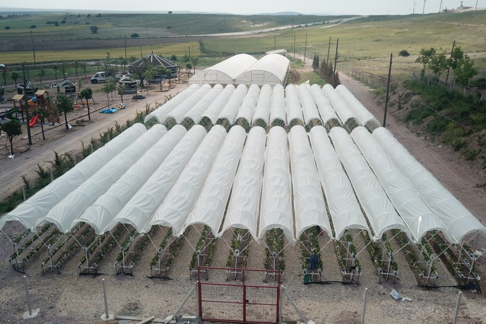 ÇİDEM ile kırsalda eğitim üretimde verim sağlanacak