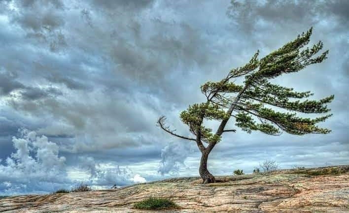 Valilikten kuvvetli rüzgar ve fırtına uyarısı!
