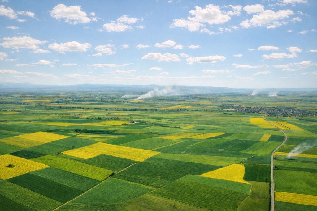 Mahkemeden ‘Alpu Ovası’ kararı