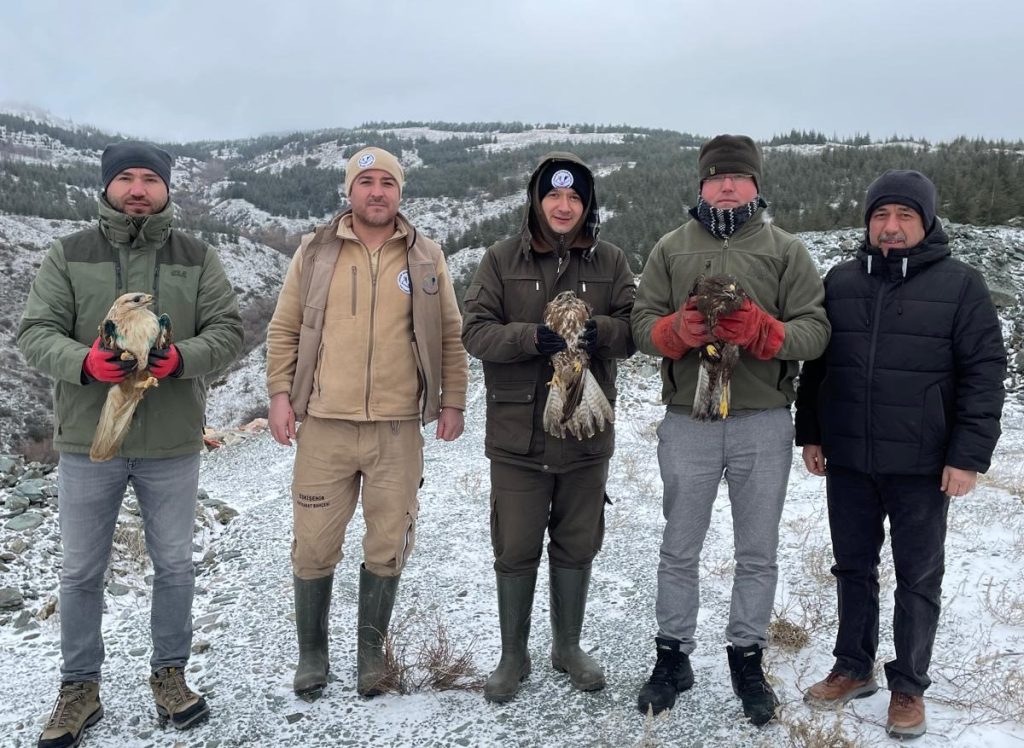 Tedavisi biten şahinler ve kara akbaba doğaya salındı