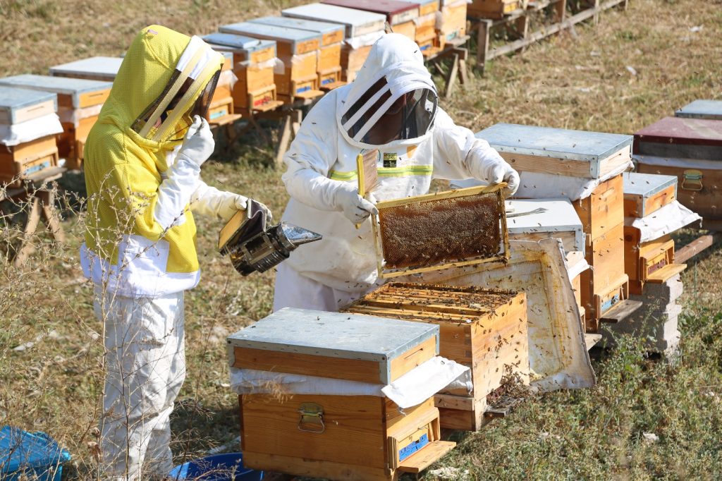 Arıköy’de üretime açılan kapı