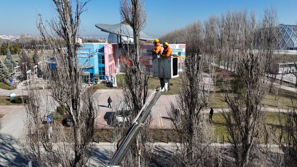 Sazova’da ağaç seyreltme ve gençleştirme çalışması sürüyor