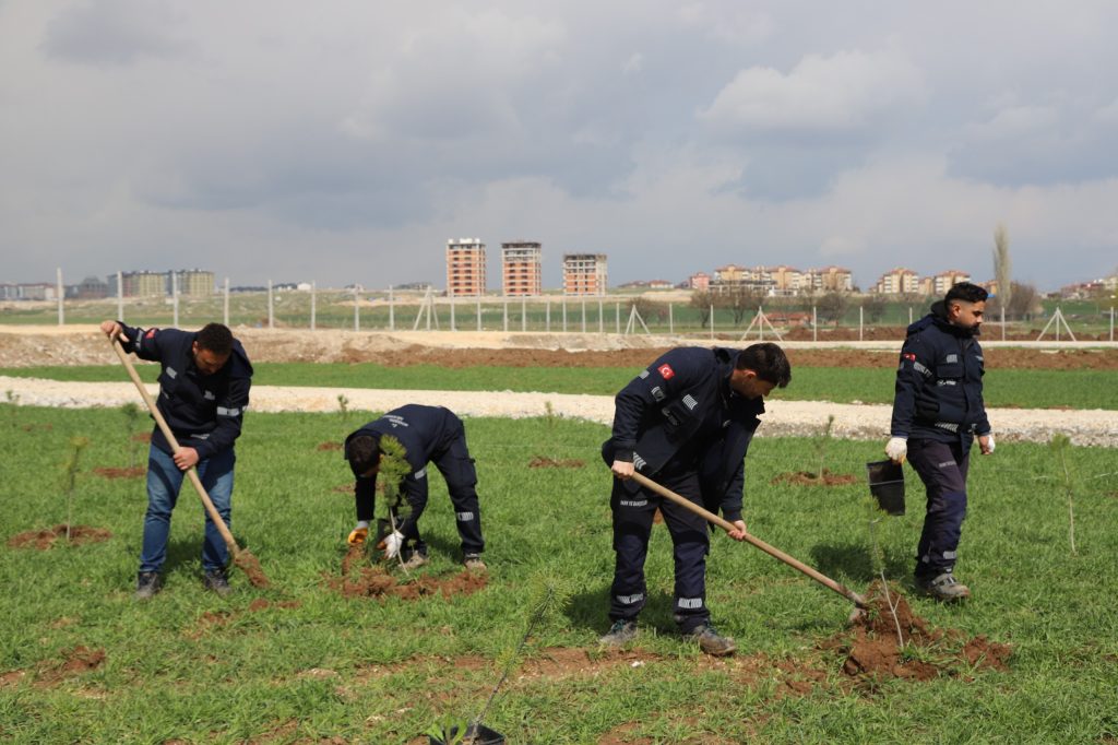 Kent Korusu evlenen çiftler ile yeşerecek