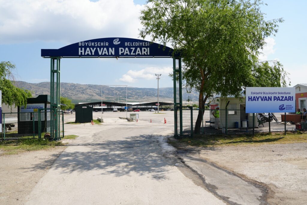 Hayvan Pazarı’nda yer satışları başladı