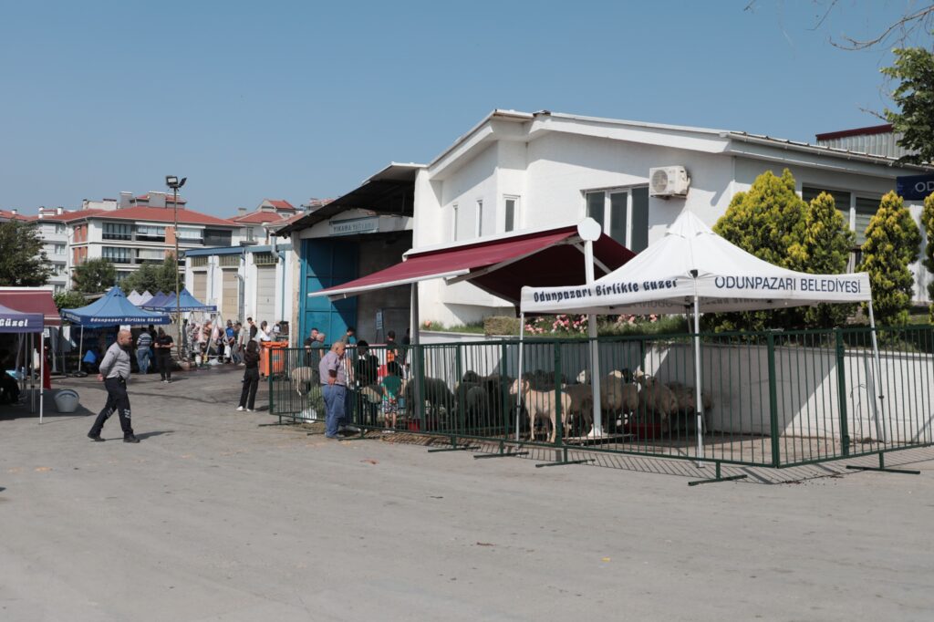 Odunpazarı’ndan ücretsiz ve hijyenik kurban kesim hizmeti