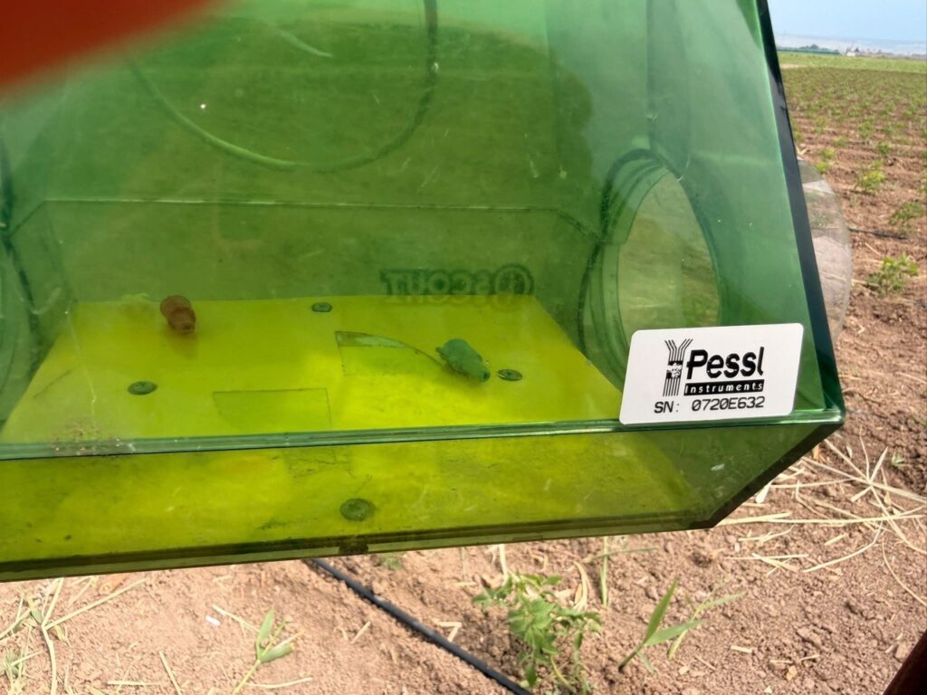 Tepebaşı’ndan üreticiye teknolojik destek
