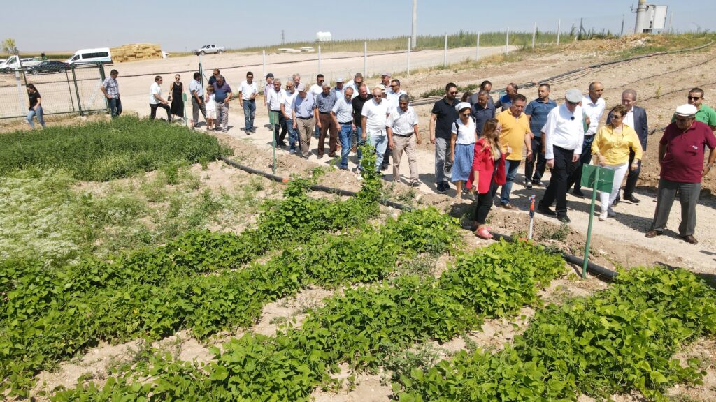 Odunpazarı’nın iklim koşullarındaki ürünler üreticilerle tarla ortamında buluşturulacak